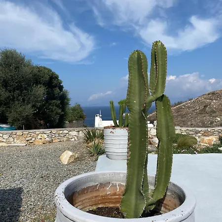 Petrinaki Mykonos Town